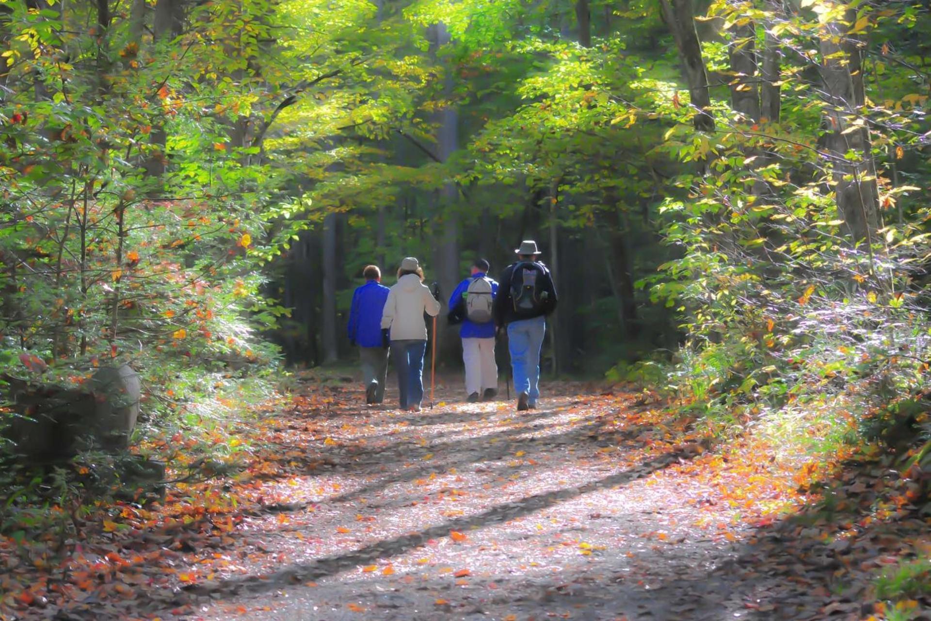 Hidden Hollow Pigeon Forge Ngoại thất bức ảnh