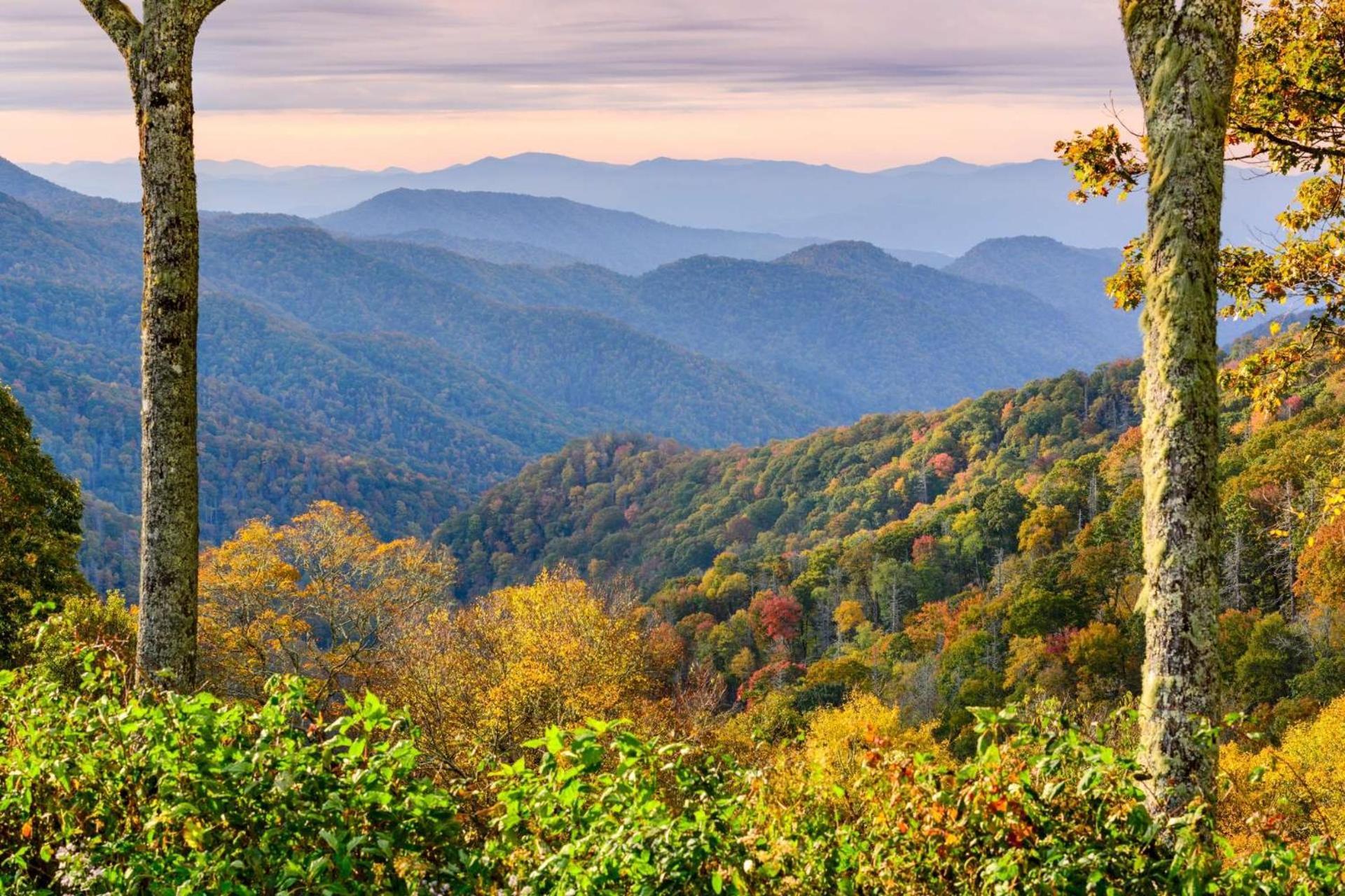 Hidden Hollow Pigeon Forge Ngoại thất bức ảnh