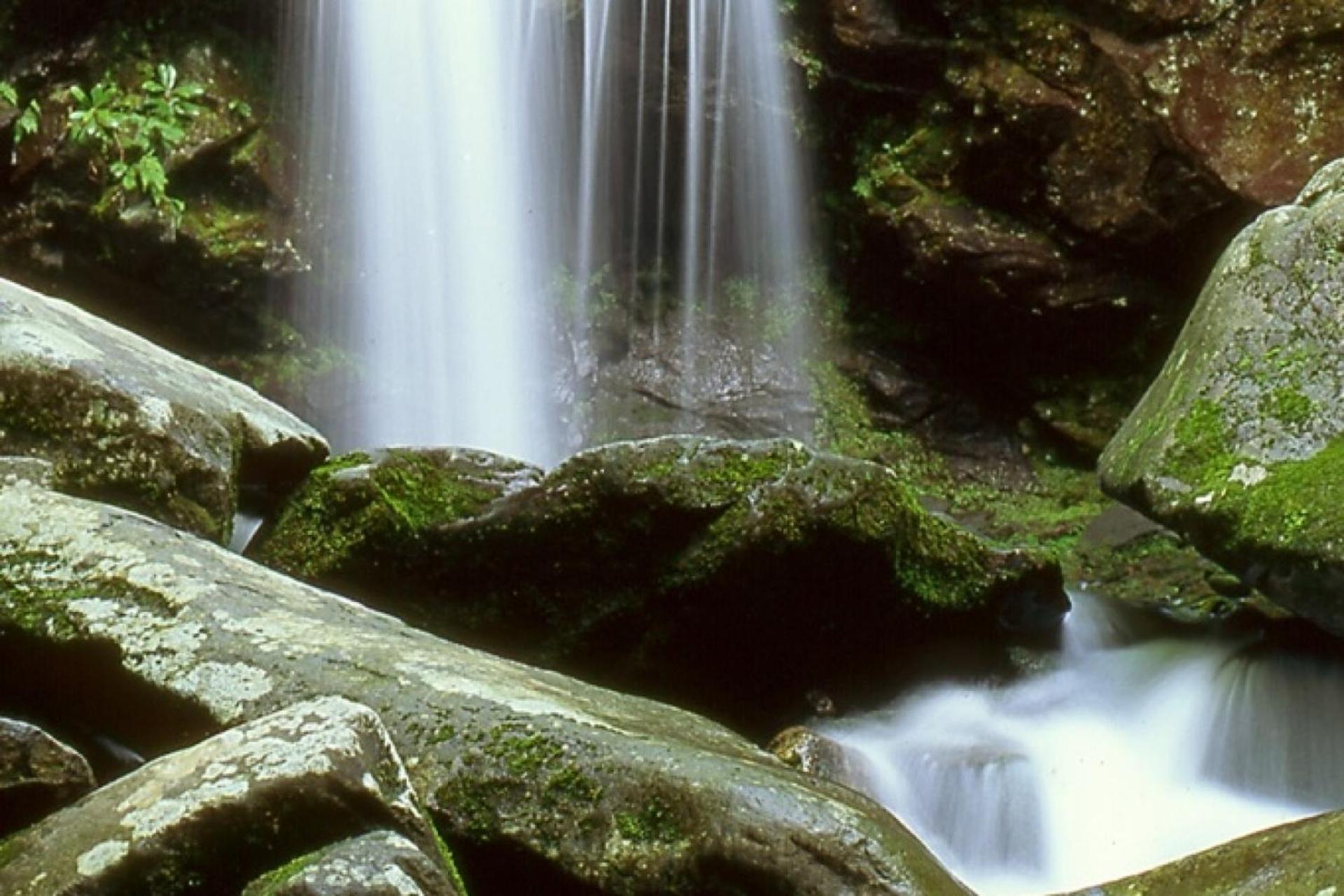 Hidden Hollow Pigeon Forge Ngoại thất bức ảnh