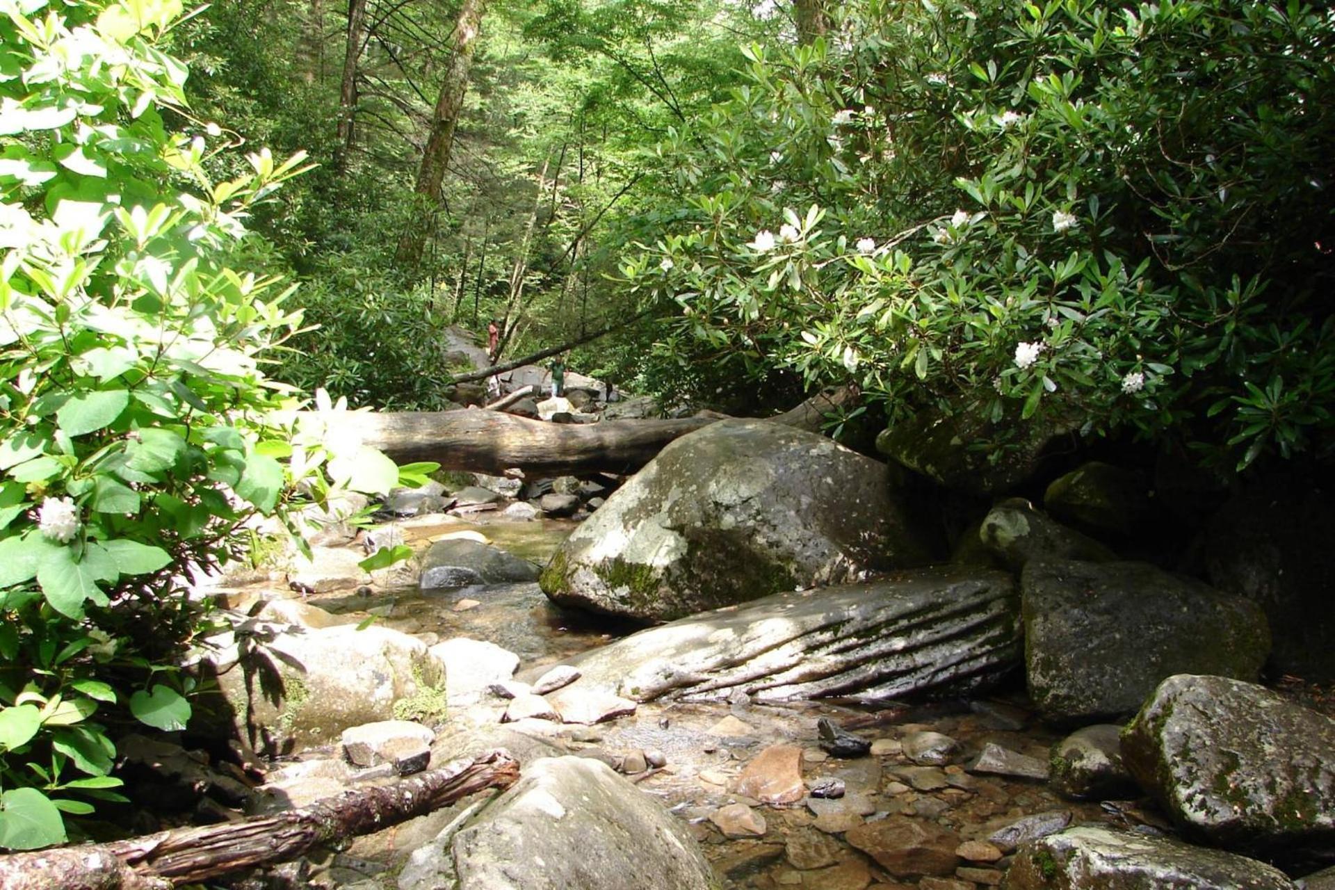 Hidden Hollow Pigeon Forge Ngoại thất bức ảnh